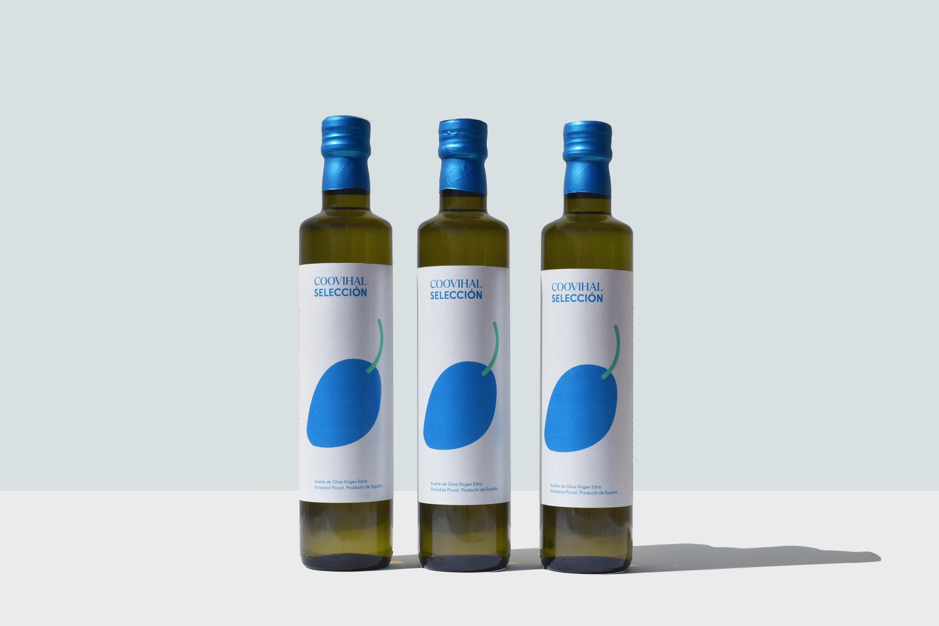 12x500ml AOVE SELECCIÓN 146-NUEVA CAMP. 25/26