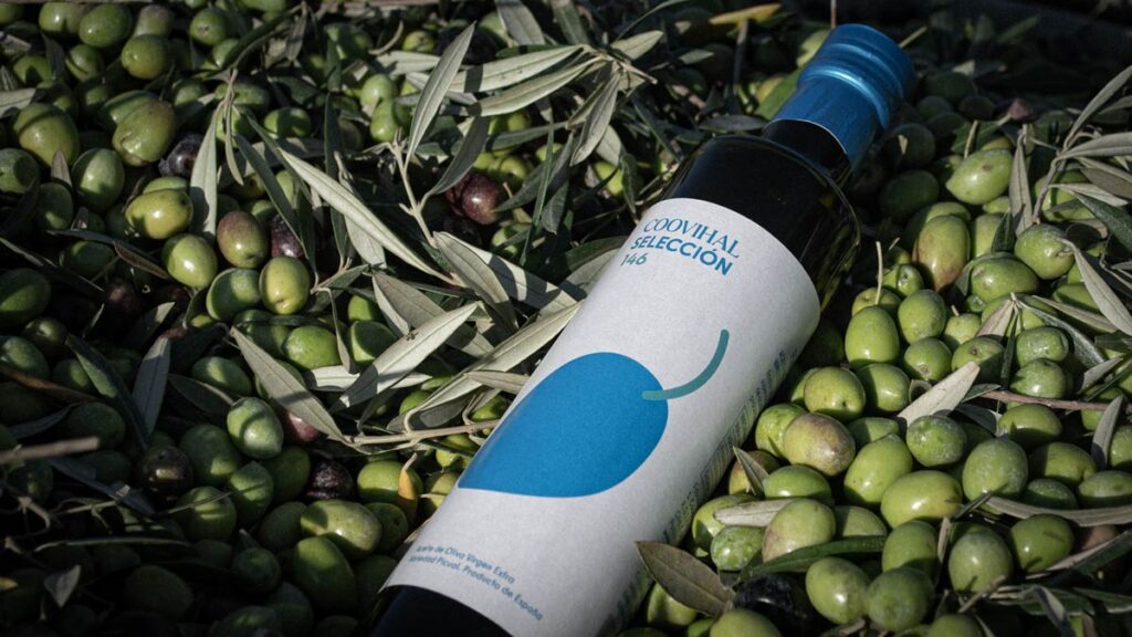Botella de aceite de oliva virgen extra Coovihal sobre aceitunas de la variedad picual.