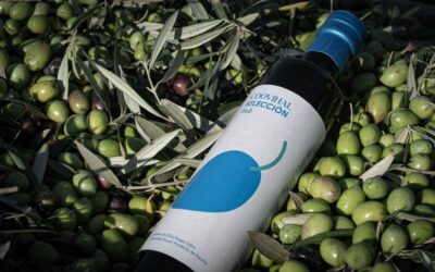 ¿Por qué el aceite de oliva virgen extra es mejor que otros aceites para cocinar?