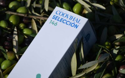 ¿Por qué el AOVE es bueno para el colesterol?